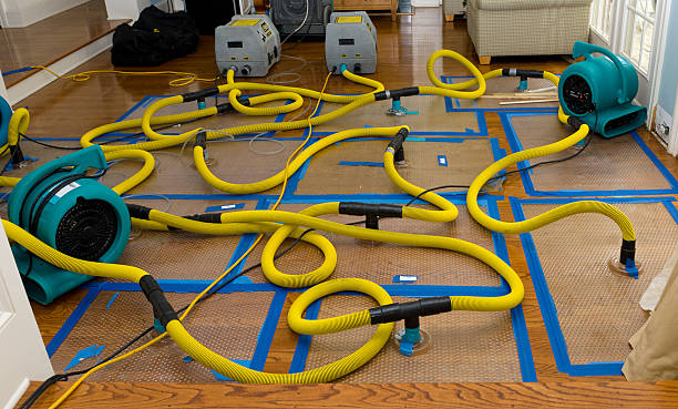Professional Sewage Cleanup technician working in Lathrop, MO